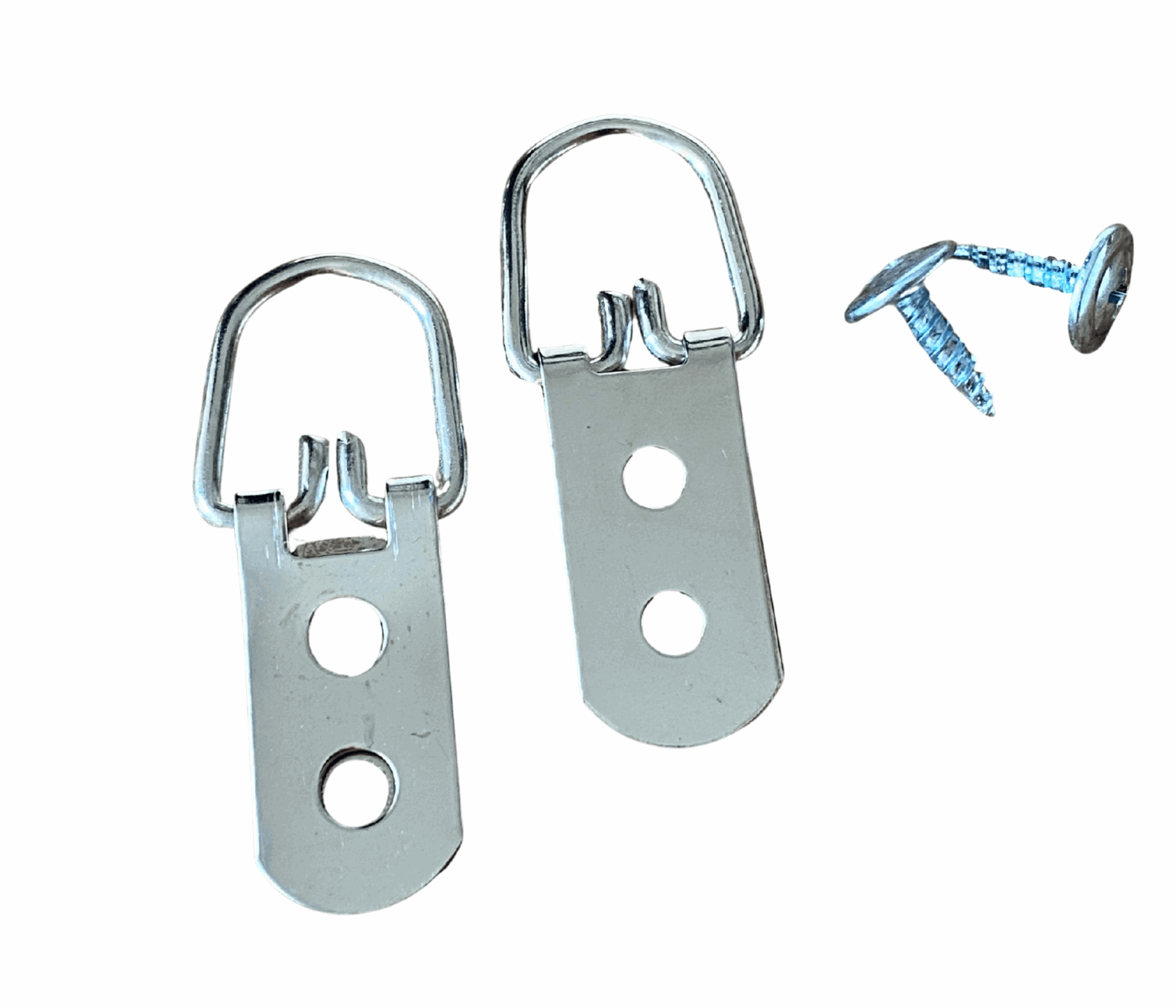 40 lbs. 2-Hole Large D-Ring Hangers (2-Pack) - West Frames