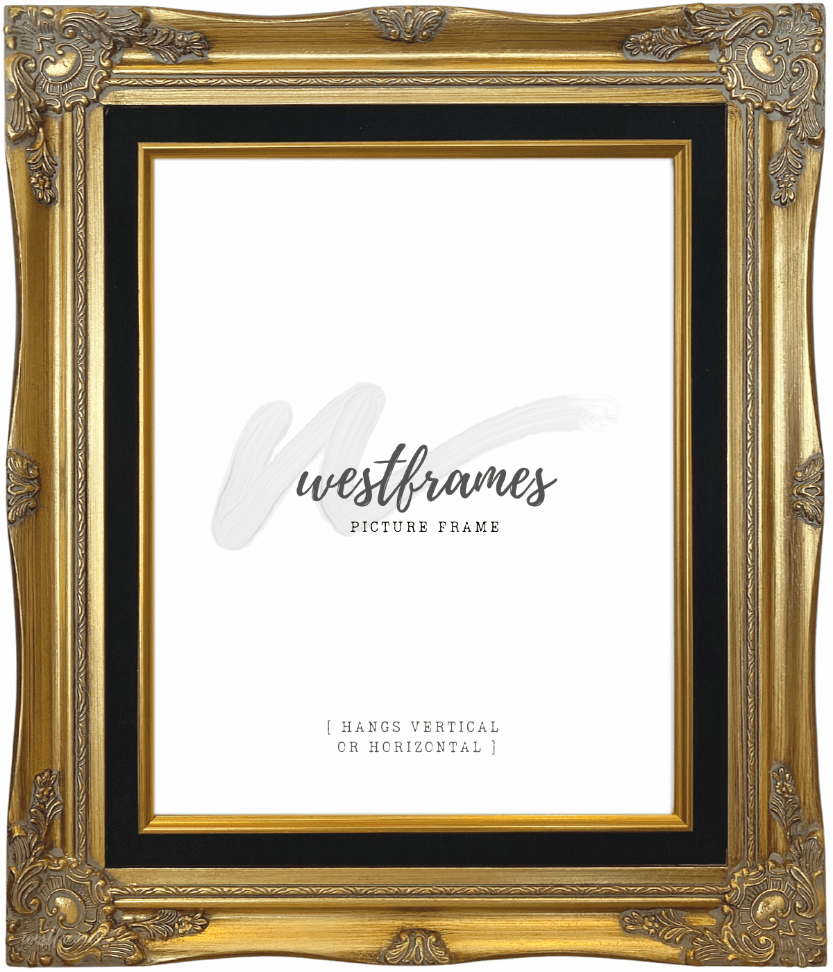 Daisy Antique Gold Leaf Wood French Baroque Picture Frame with Black Velveteen Liner - West Frames