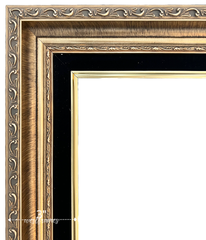 Adela Antique Gold Ornate Wood Picture Frame with Black Linen Liner - West Frames