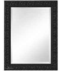 Duchess French Country Ornate Framed Wall Mirror Vintage Black