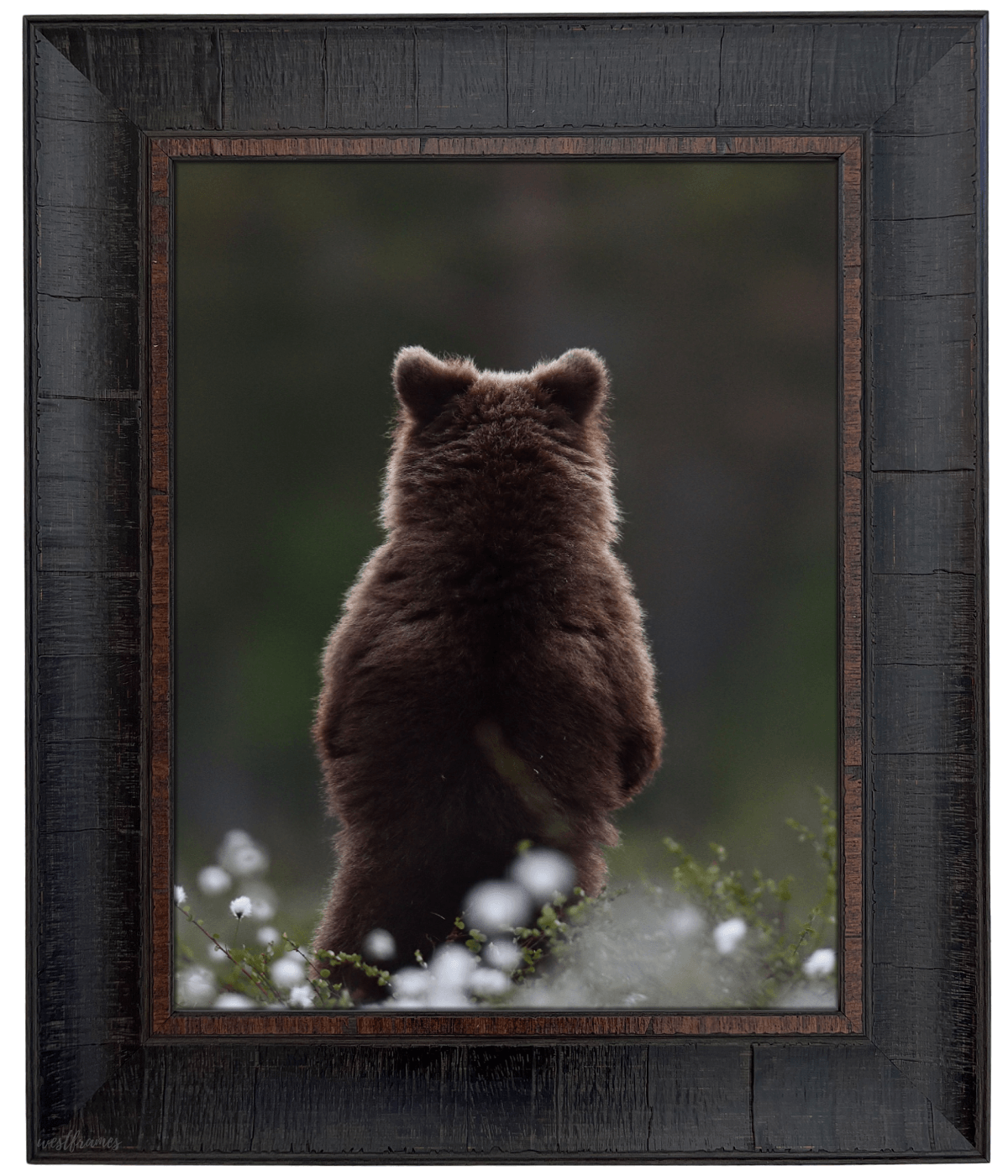 Lodge Rustic Distressed Picture Frame Dark Espresso Walnut - West Frames