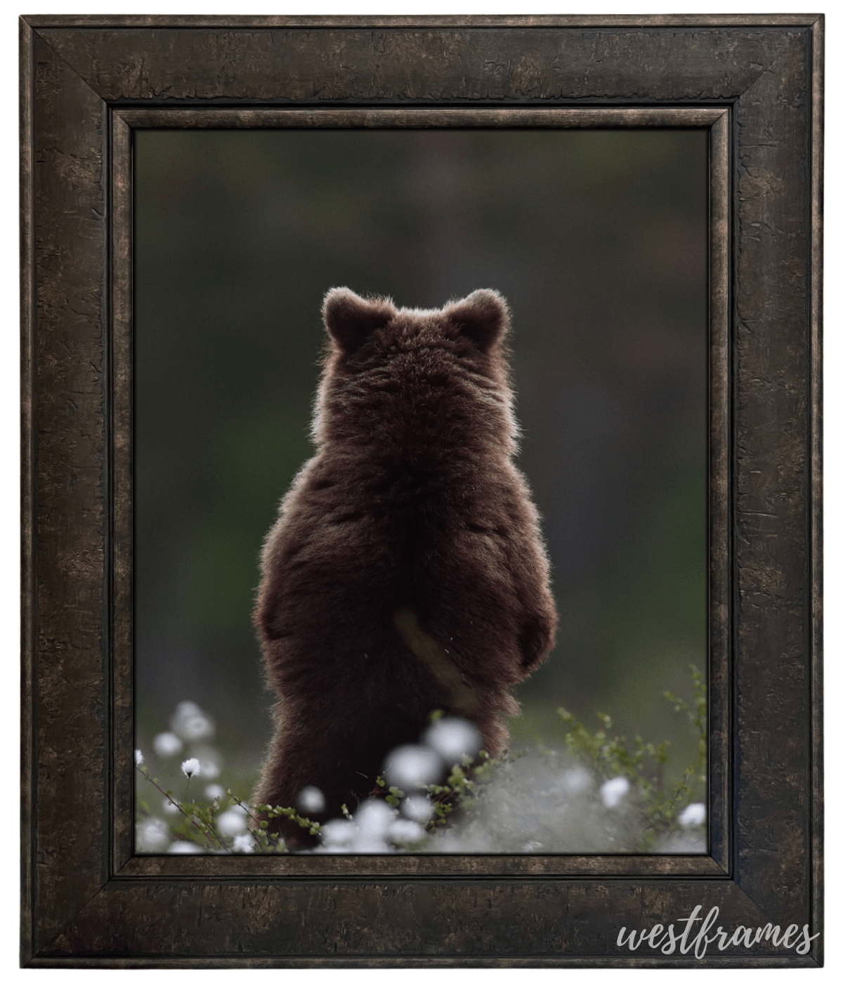 Marcello Rustic Distressed Dark Charcoal Brown Wall Picture Frame - West Frames