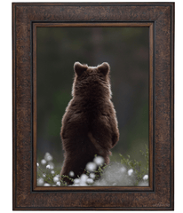 Marcello Rustic Distressed Walnut Brown Wall Picture Frame - West Frames