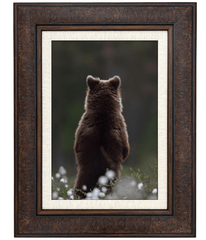 Marcello Rustic Distressed Walnut Brown with Linen Liner Wall Picture Frame - West Frames
