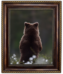 Montana Bronze Gold Picture Frame - 2.25 in Wide | Classic Rope & Beaded Design - West Frames