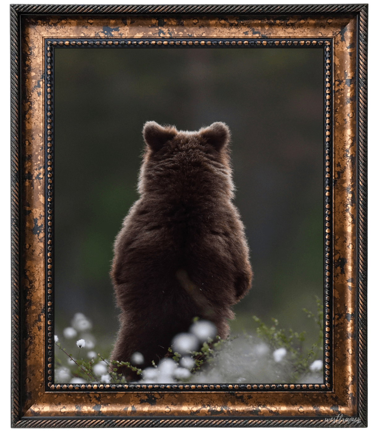 Santino Traditional Classic Aged Bronze Black Wall Picture Frame - West Frames