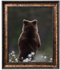 Santino Traditional Classic Aged Bronze Black Wall Picture Frame - West Frames