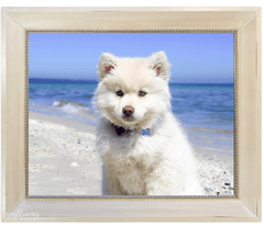 Farmhouse Rustic Beaded Wood Picture Frame White Cream Ivory Finish - West Frames