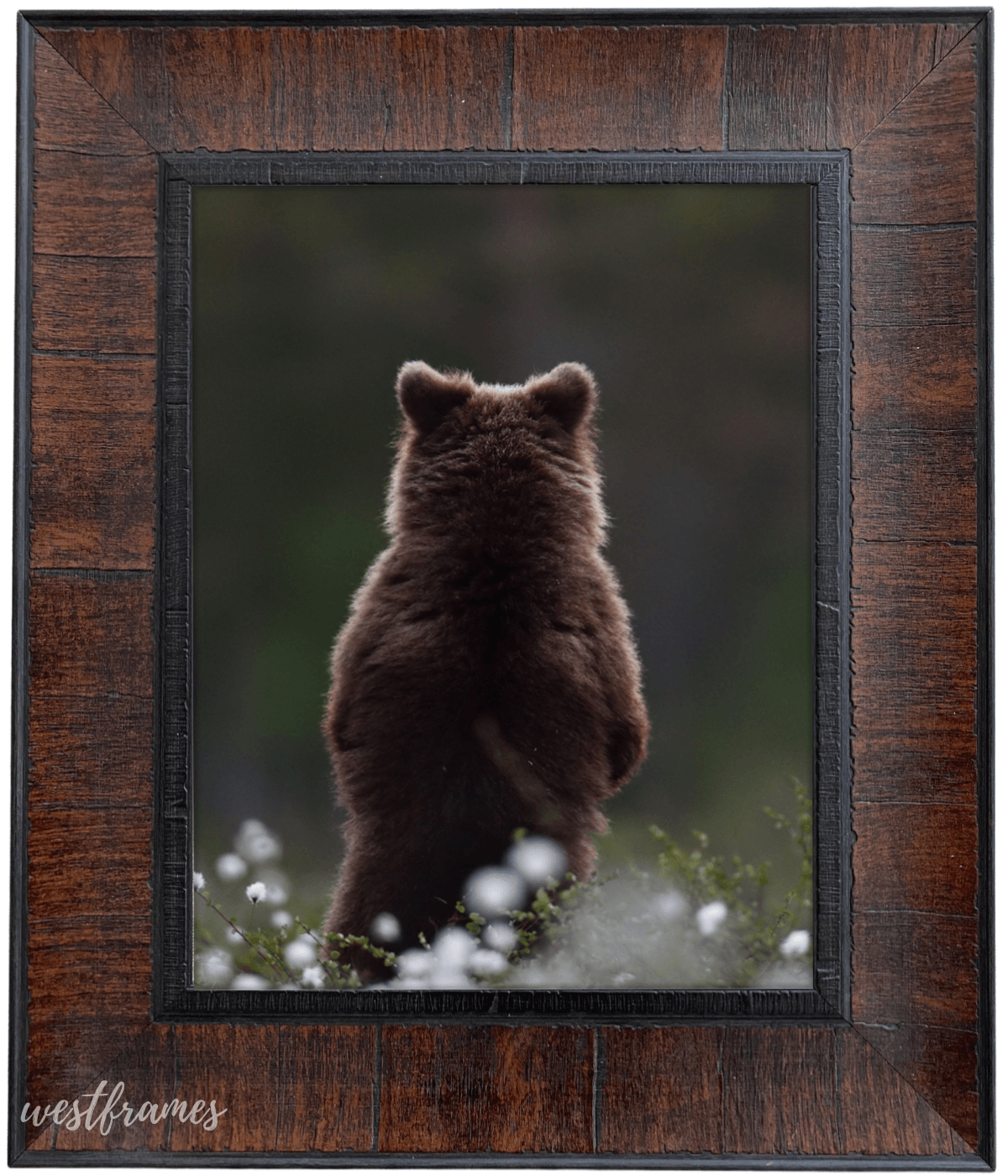 West Frames The Lodge Rustic Distressed Wall Picture Frame 3 Wide (Dark  Walnut Brown, 30 x 40 Frame with Plexiglass & Backing Board)